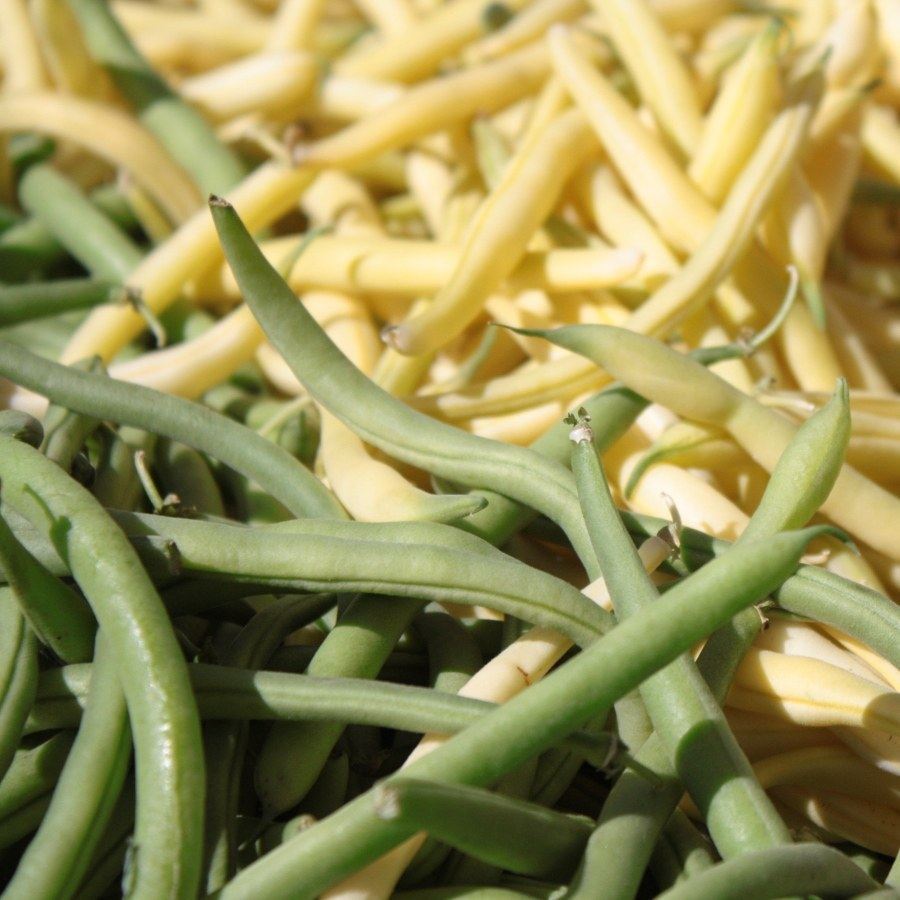 How To Boil Green beans