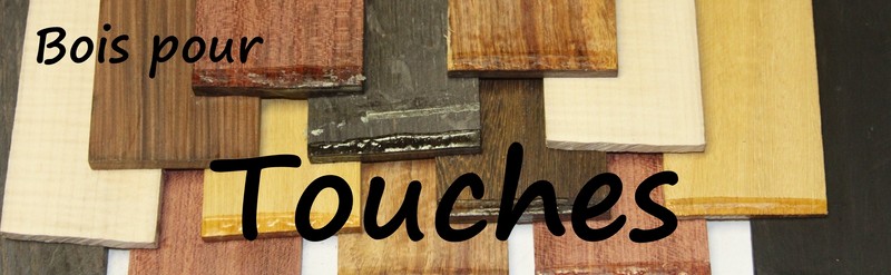 Bois523APL Vente de bois pour la lutherie, précieux et semiprécieux