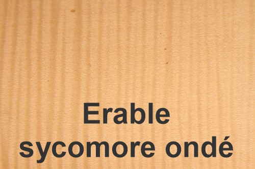 Bois523APL Vente de bois pour la lutherie, précieux et semiprécieux