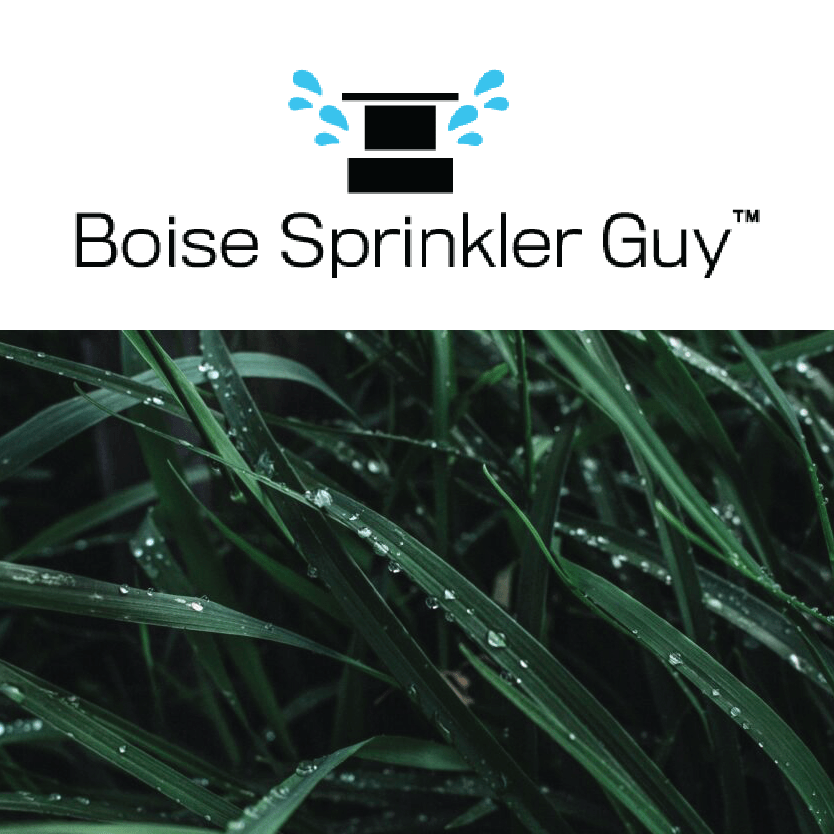 Boise Sprinkler Guy Boise Sprinkler Guy