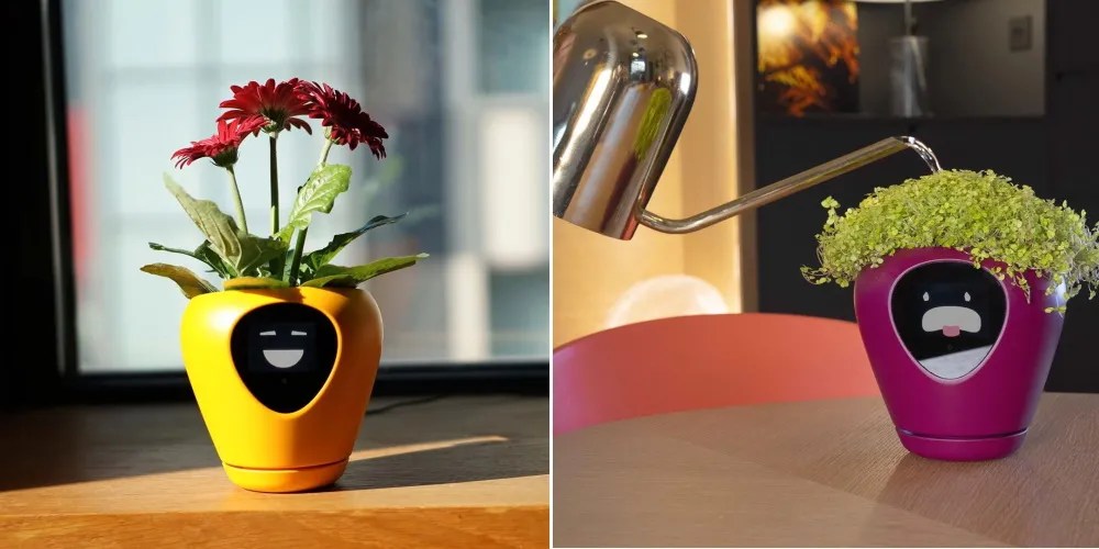 Lua's New Smart Planter Helps You Keep Your Plants Alive