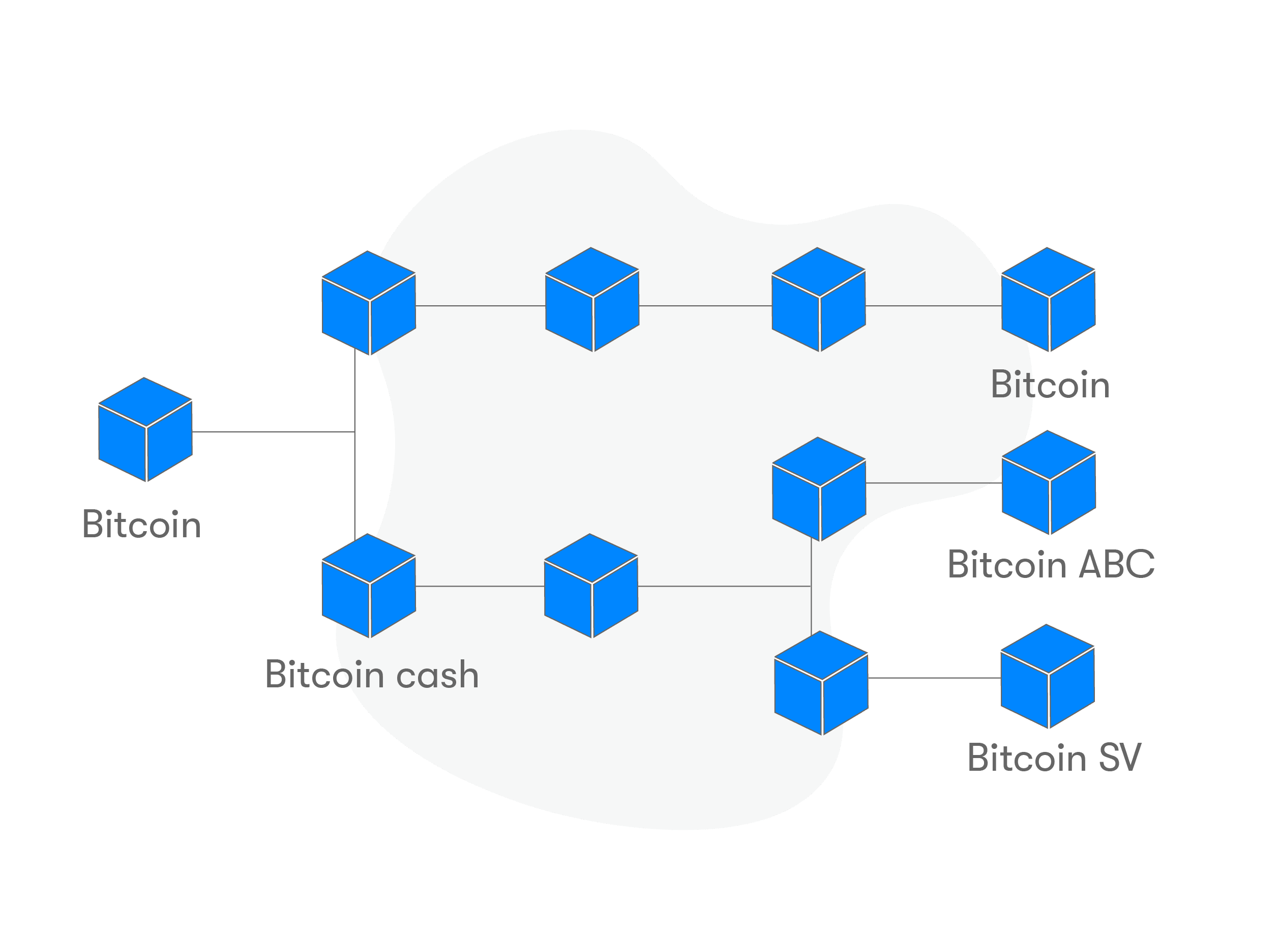 Bitcoin forks: Bitcoin Cash (BCH) y Bitcoin Satoshi´s Vision (BSV)
