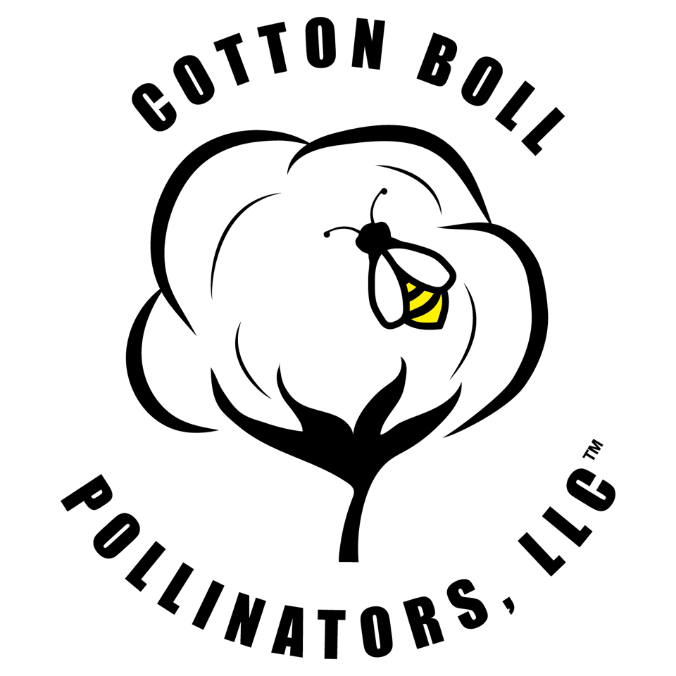 Cotton Boll Logo