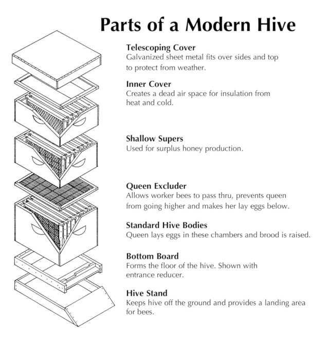 *Product may not look exactly as shown.