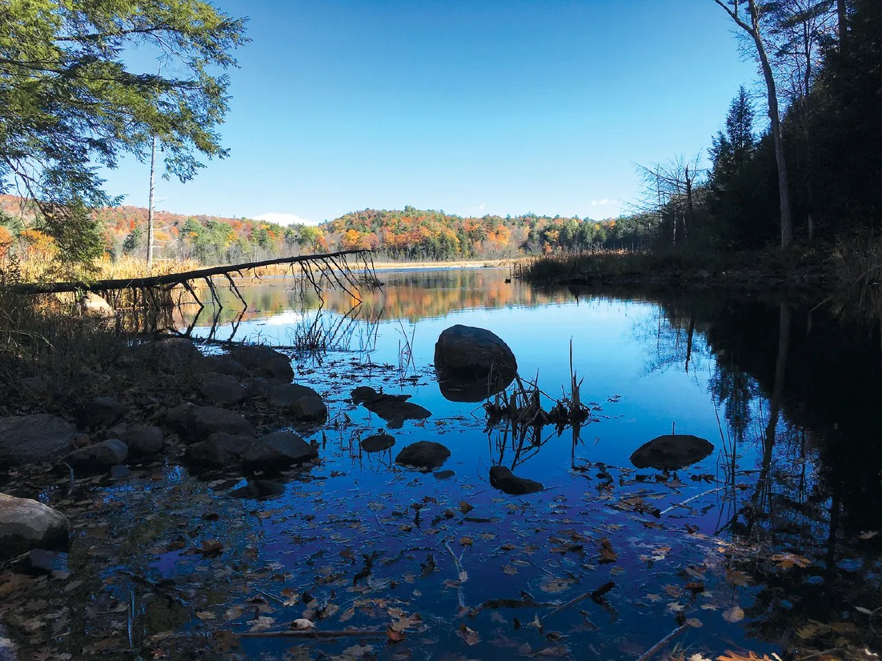 Lake Land Conservancy, Inc. Bolton Landing Chamber of Commerce