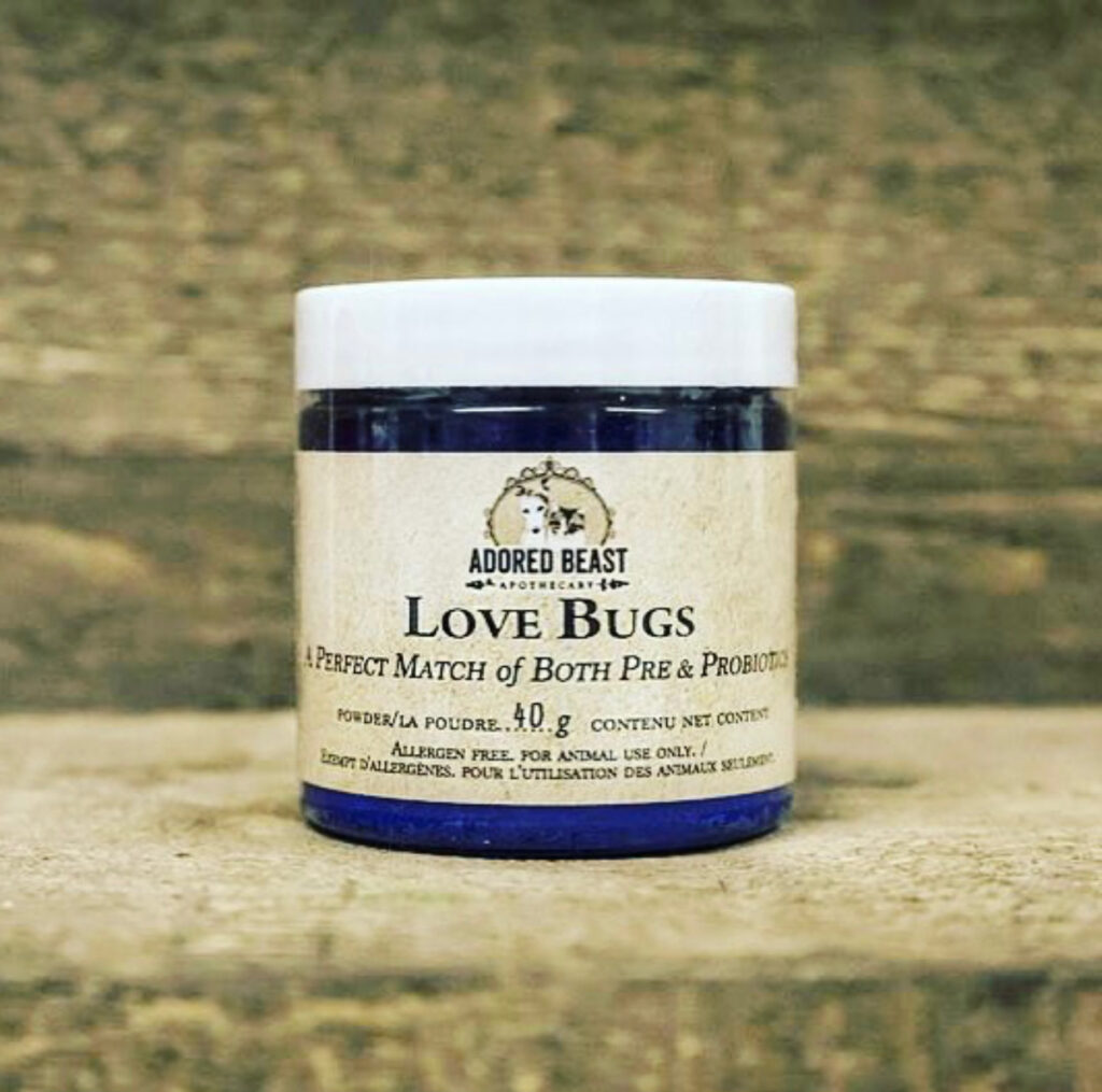 Natural Remedies for Dogs With Allergies Bone & Biscuit Co.