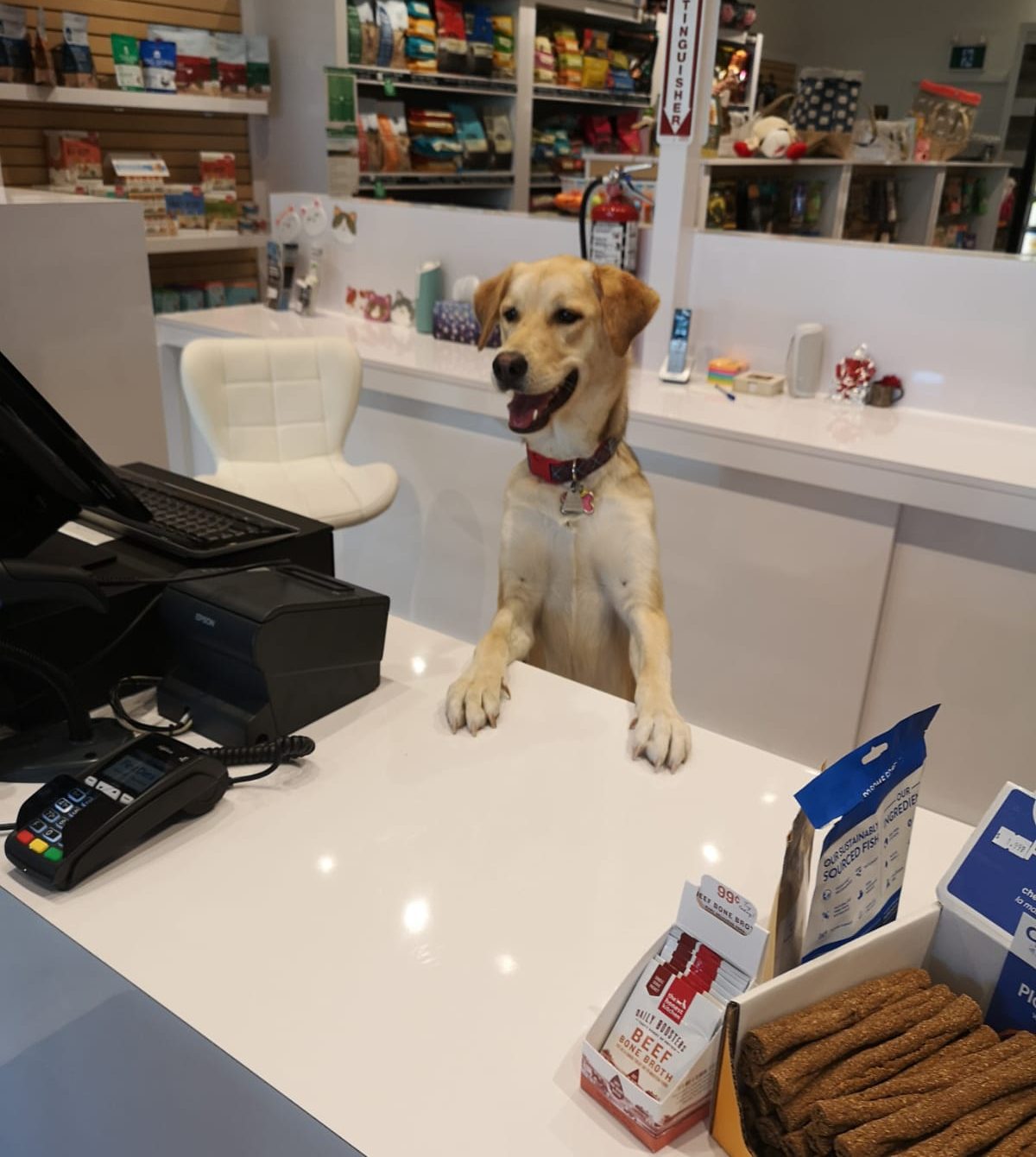 Store Spotlight Bone & Biscuit Vaughan North