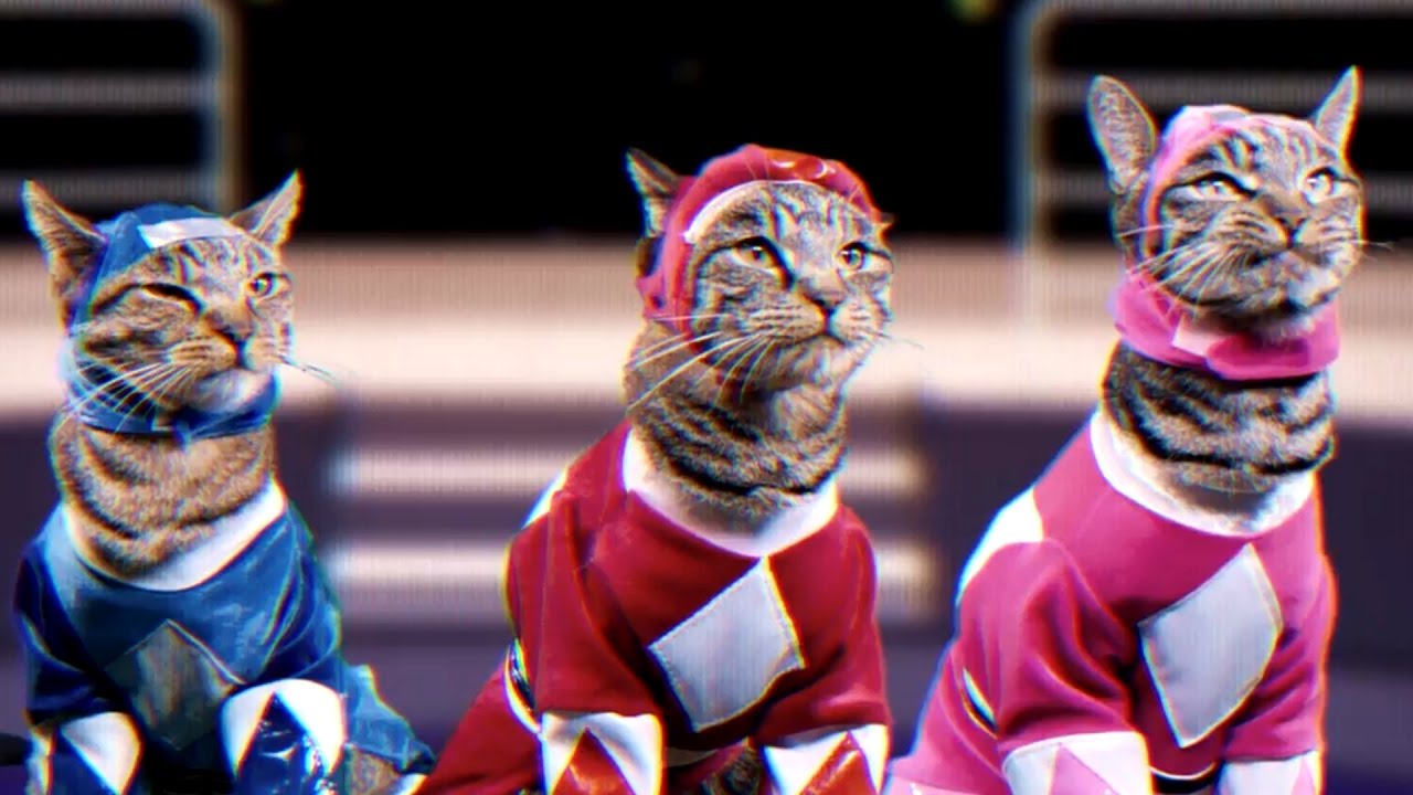 Cat Power Rangers are Better!