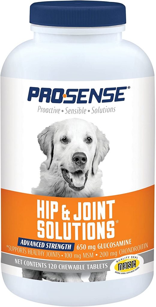 Best Dog Joint Supplements to Keep Your Canine Comfortable