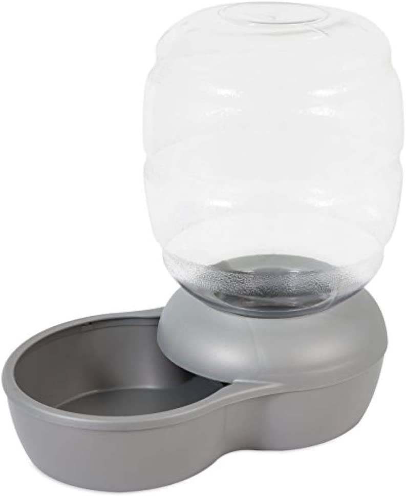 Automatic Water Bowls for Hydrated Dogs of Every Kind