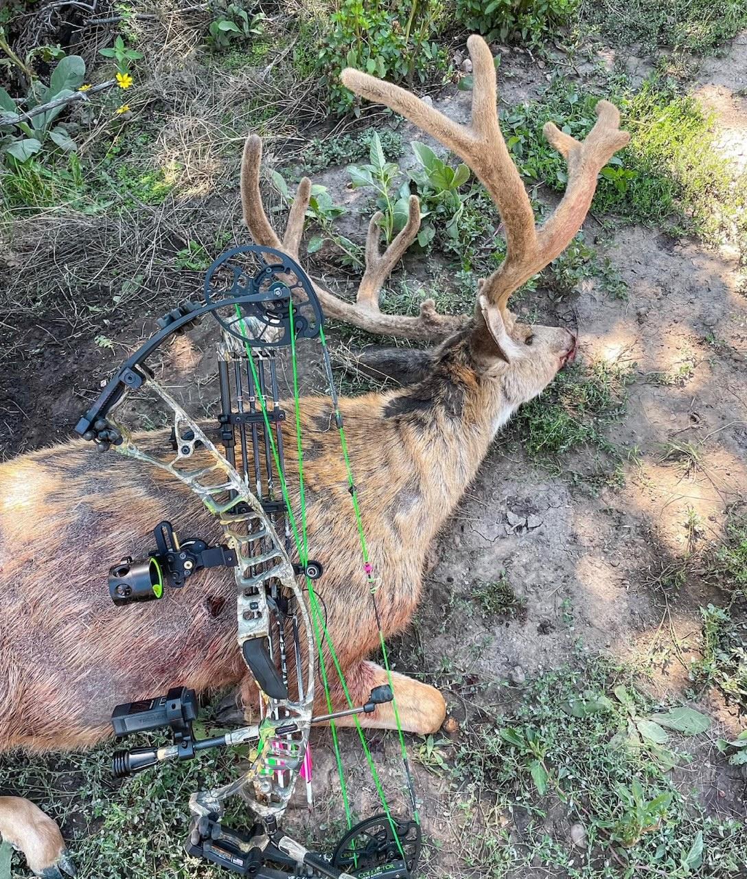 Home Bow Setup and the Ultimate Arrow Build — Bone Collector