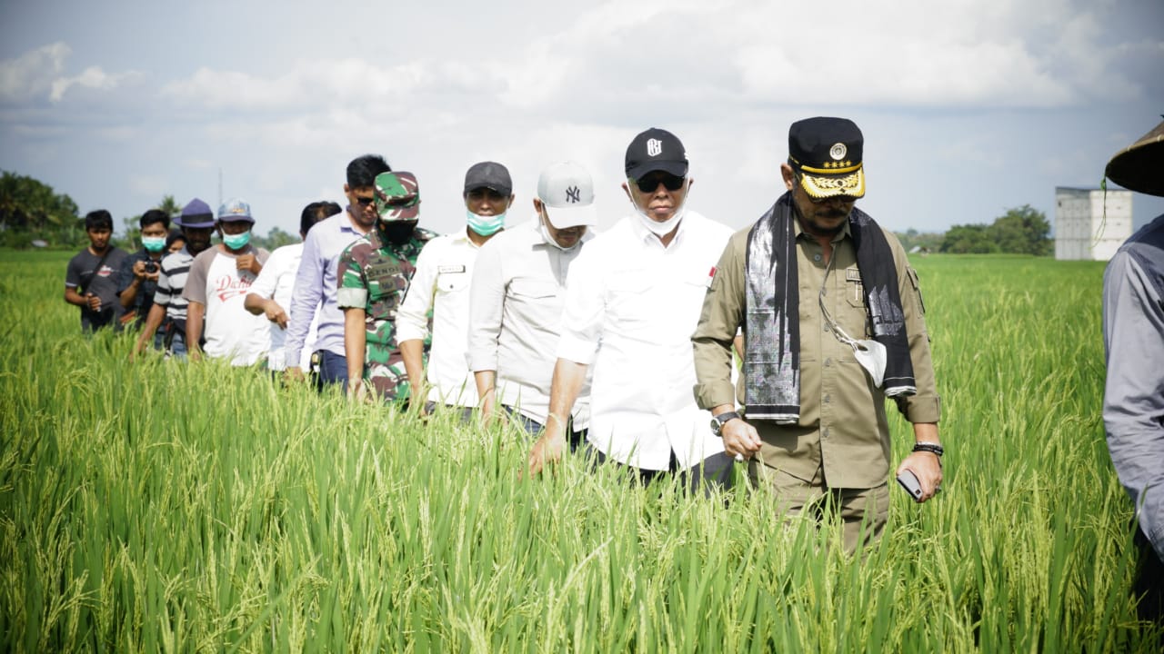 Menteri Pertanian Syahrul Yasin Limpo (Mentan SYL) saat
