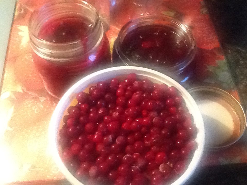 Partridgeberry Jam Traditional Newfoundland Bonita's Kitchen