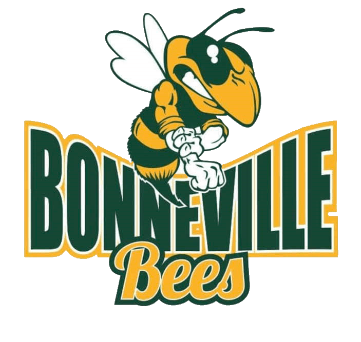 Volleyball Idaho Falls, ID