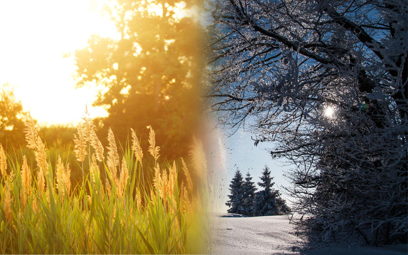 ¿Cuándo es mejor correr, en verano o en invierno? BONSA