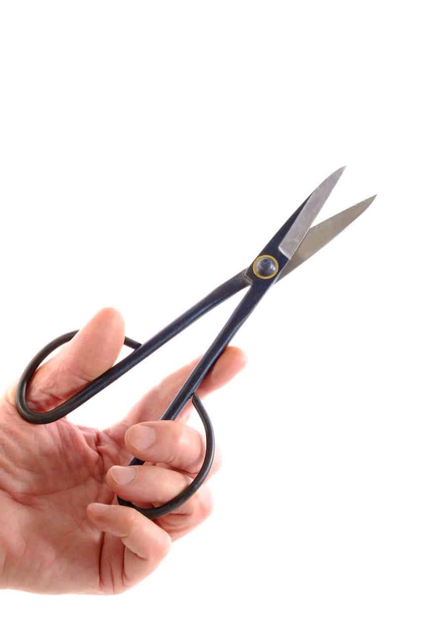 Top Quality Long Handled Bonsai Pruning Scissors for sale