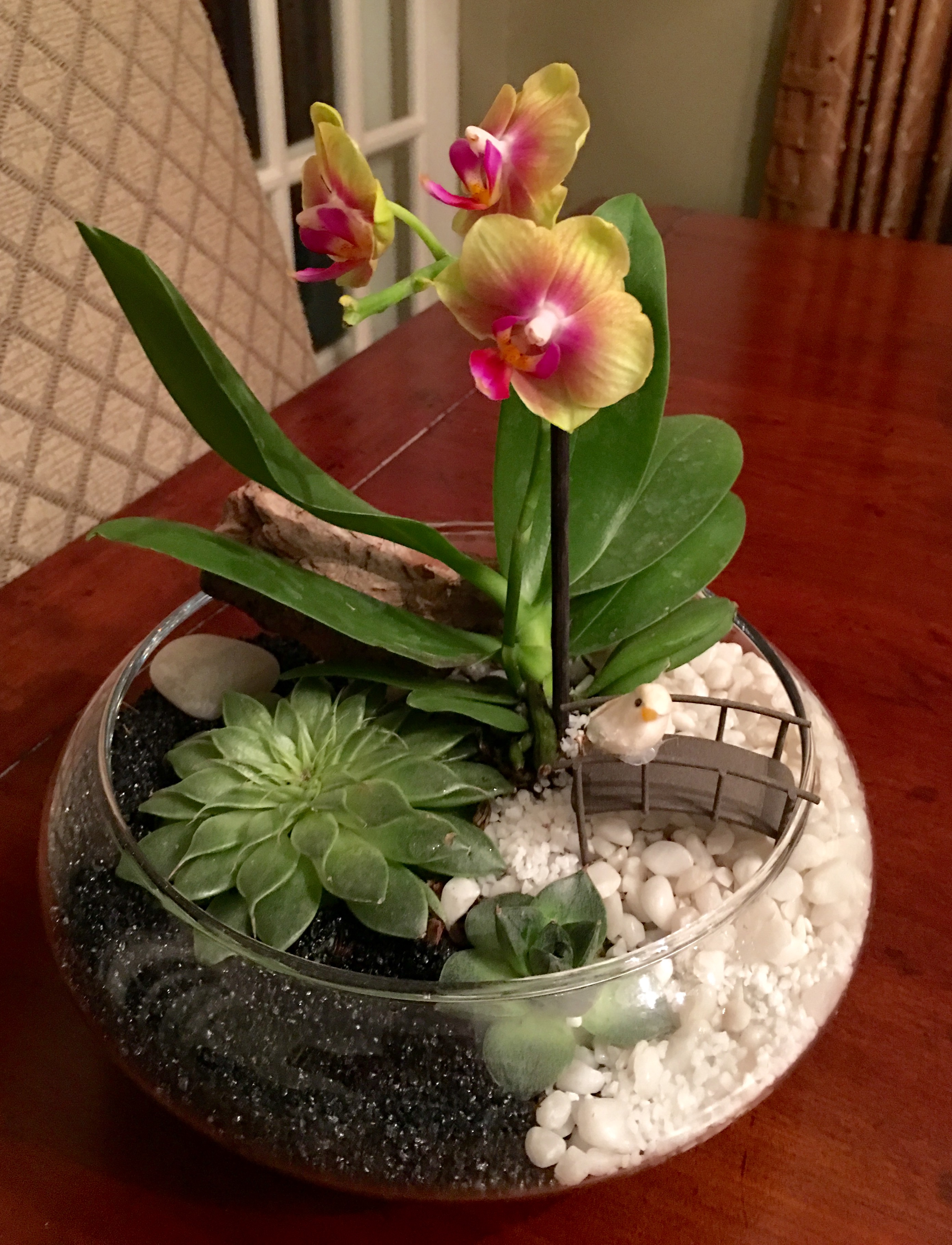 Bonsai Jack Succulent and Cactus Soil Jacks Gritty Mix 111 7