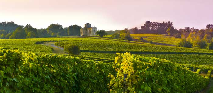 Weine bei Aldi Süd Frankreich Rosé und Weiß aus der Exquisite Collection