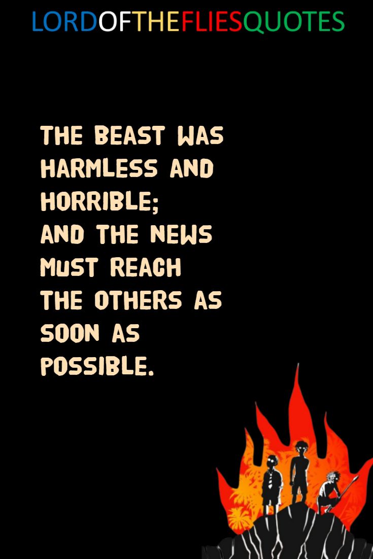 13 Classic Lord of The Flies Quotes (IMAGES) from the Book