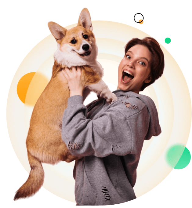 Pet Grooming Scheduling Software for WordPress BookingPress