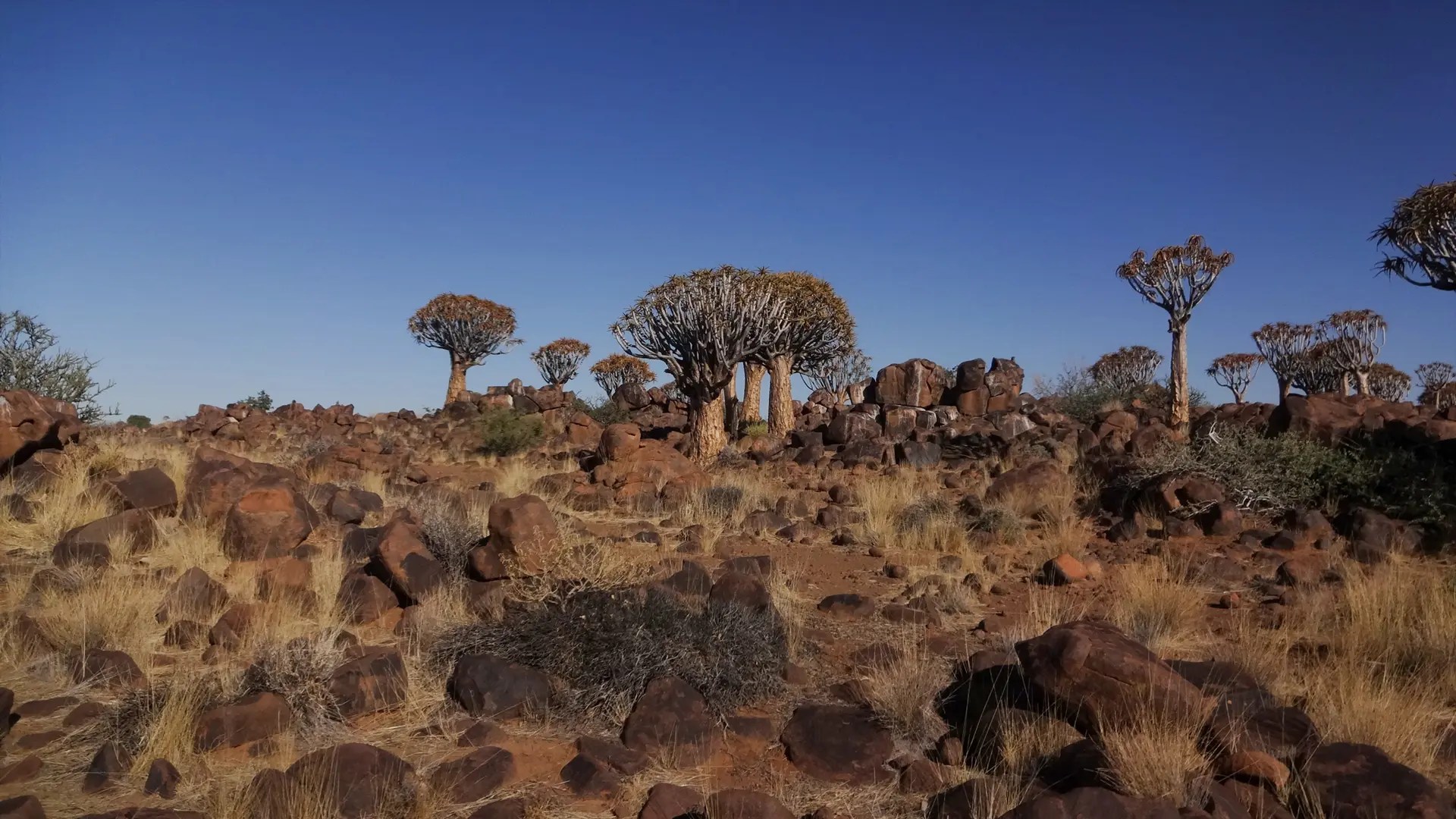 Birds Nest Guesthouse in Keetmanshoop Namibia