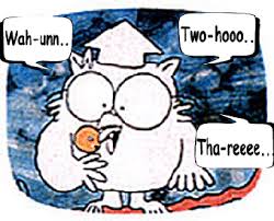 Image result for mr owl three