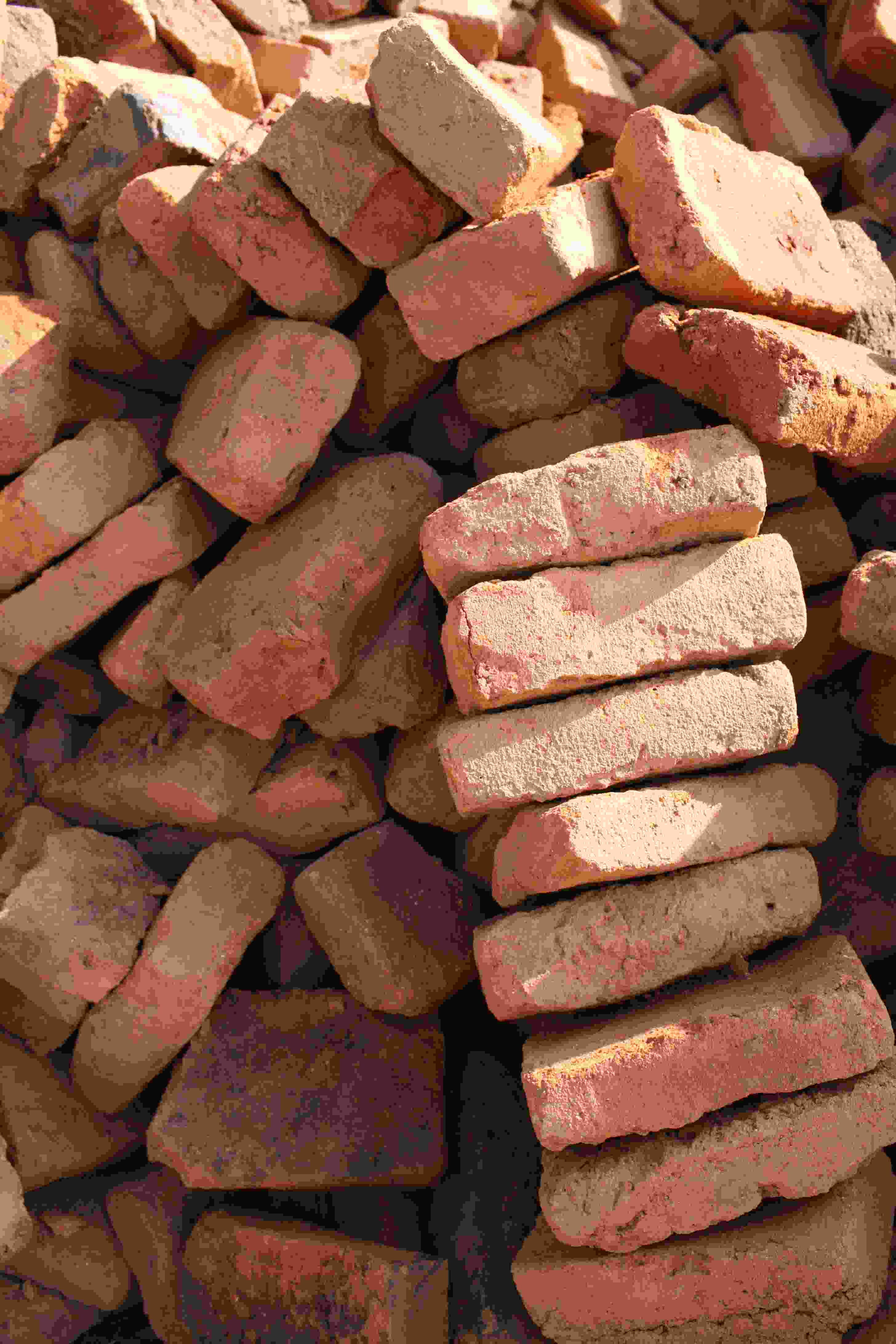 Bricks Books & Bricks Global