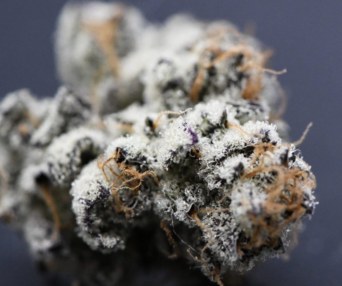 White Truffle to the Beleaf Store