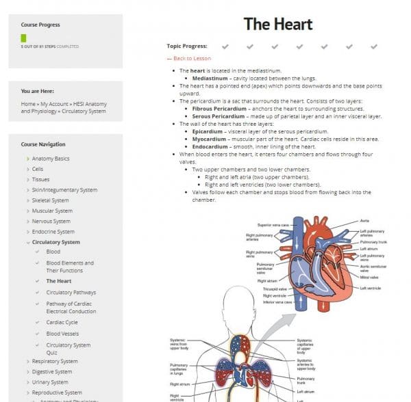 Hesi Anatomy Practice Test