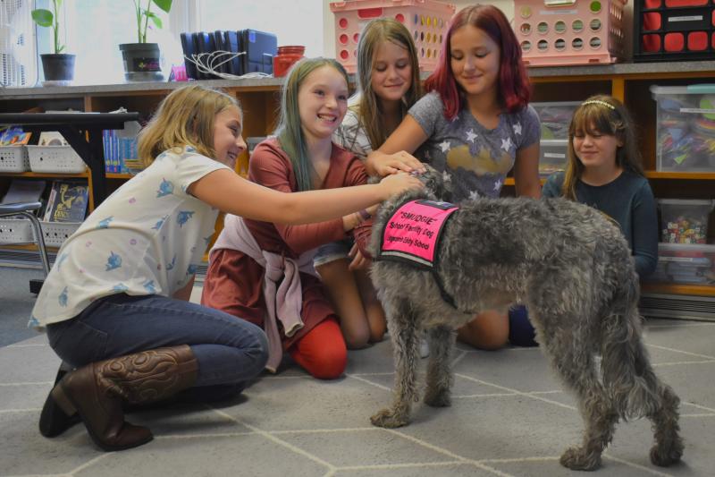 Meet Smudge Boothbay Register