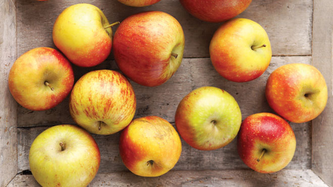 English apples Booths