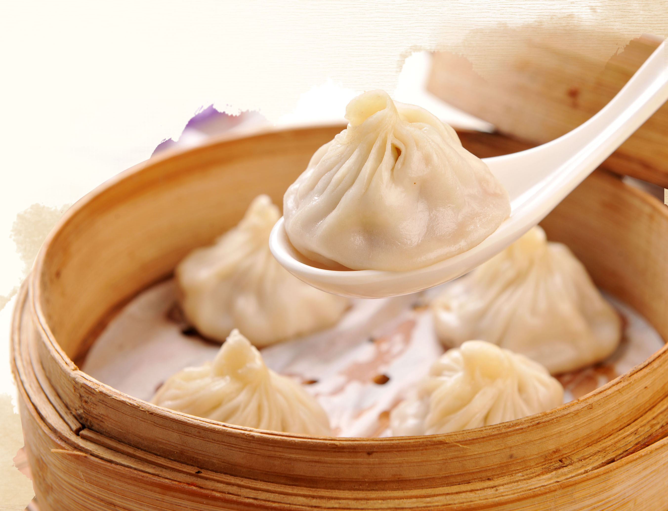 Opening Alert Soup Dumpling Plus, Fort Lee, NJ(08)