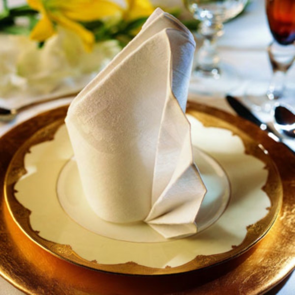 40 Most Creative Table Napkin Folding Ideas To Practice Bored Art