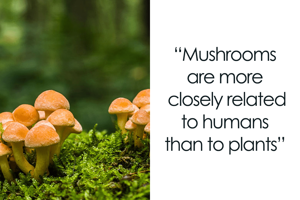“Today I Learned” 40 Interesting Things People Didn’t Learn In School