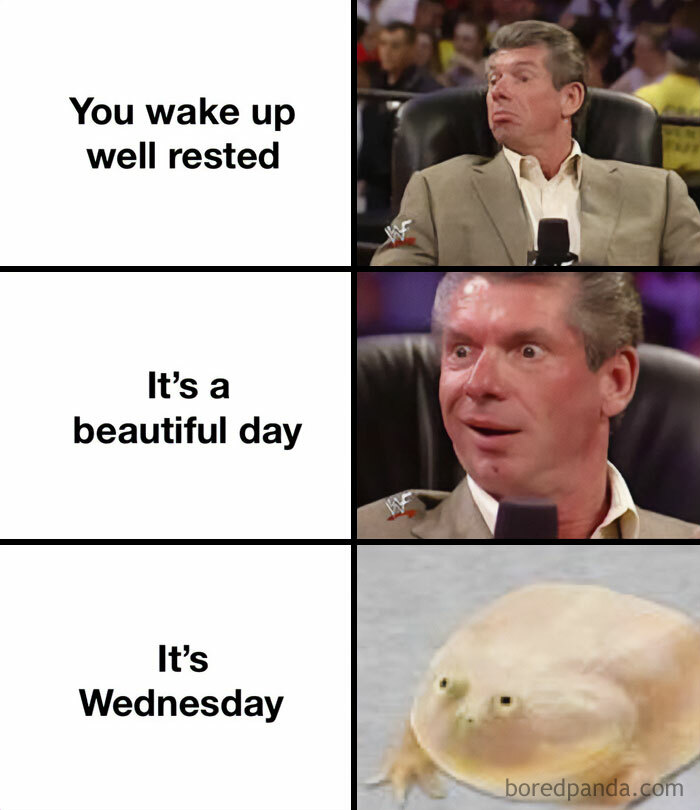30 Wednesday Memes For A Midweek Mood Boost Bored Panda(03)