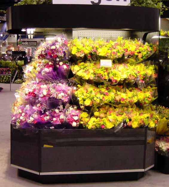 Open Wrap Floral Display Case Systems