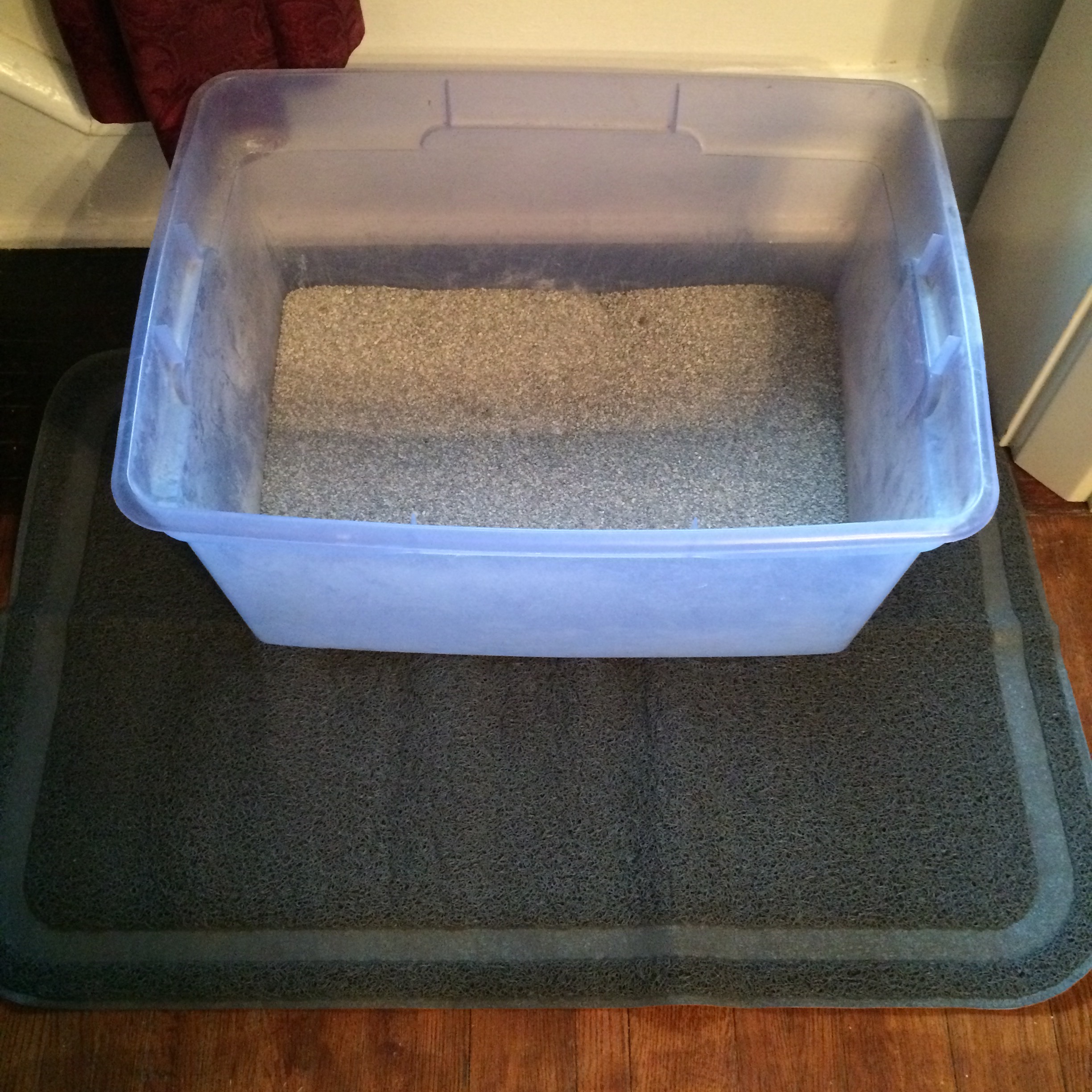 Snug Cat Litter Mat Review Boris Kitty 4 Paws for a Cause