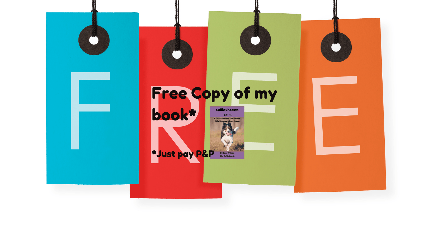Free Copy of my Book Born2Run Canine Adventures