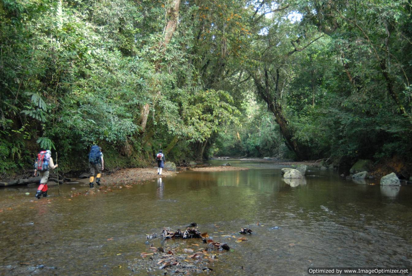 Borneo off road Tours Kalimantan 4 x 4 Tour Adventure Orangutan