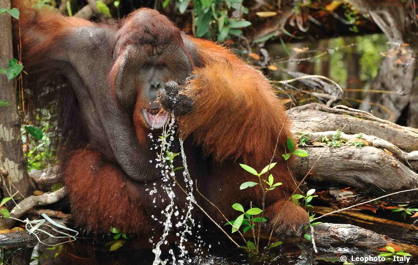 Wildlife Tours Near Me