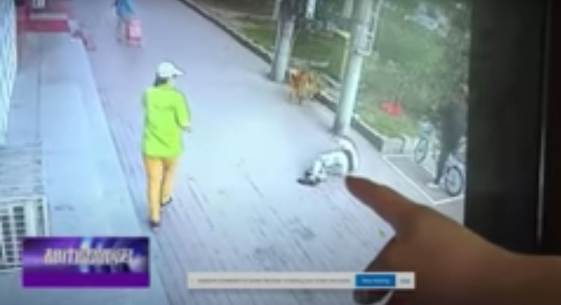 Cat Falls On Man While Walking Dog, Knocks Him Out Cold borninspace