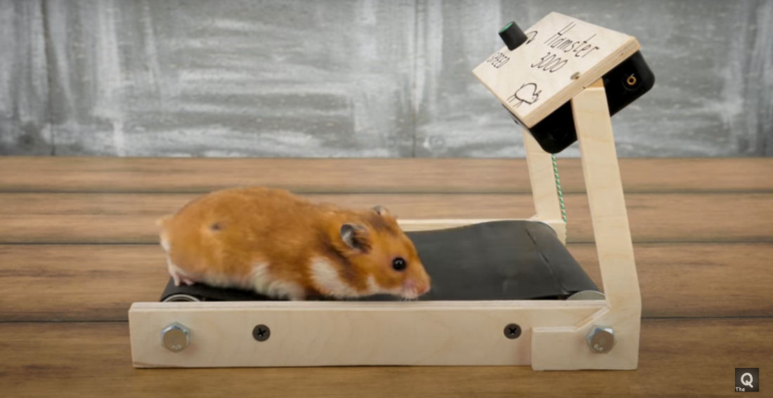 Man Builds Miniature Treadmills For His Hamsters borninspace