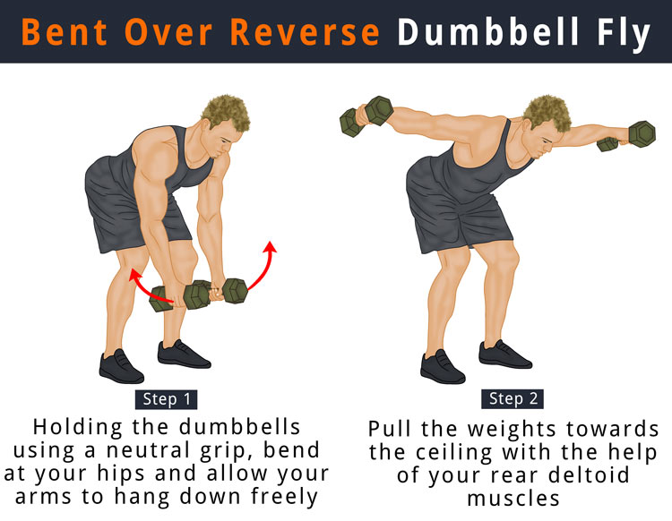 Dumbbell Flys What is it, How to do, Muscles Worked, Benefits Born