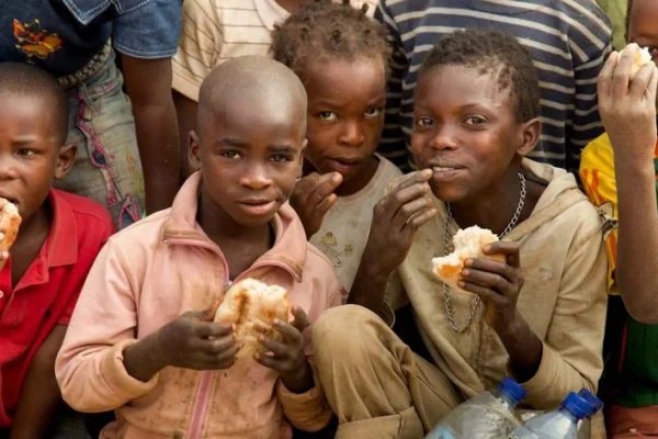 Afrikalı yetkiliden "2030'da kıtada açlık" uyarısı Borsatek