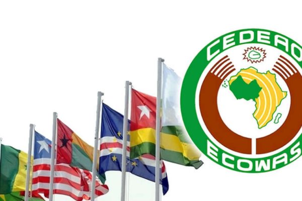 ECOWAS üyesi ülkelerde ortak para birimi hazırlığı Borsatek