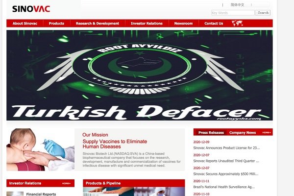 Türk hackerlar Sinovac'ın sitesini hackledi Borsatek