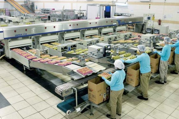 Nippon Ham, Ege-Tav’ın tamamını alıyor Borsatek