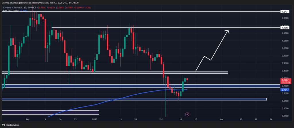 Cardano balinaları 70 milyon ADA topladı: Bu ne anlama geliyor? 2 Borsatek