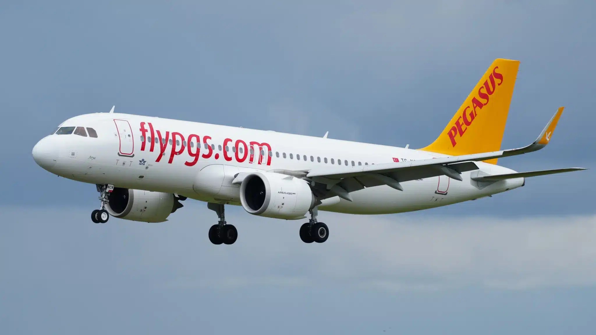 pegasus, pgsus