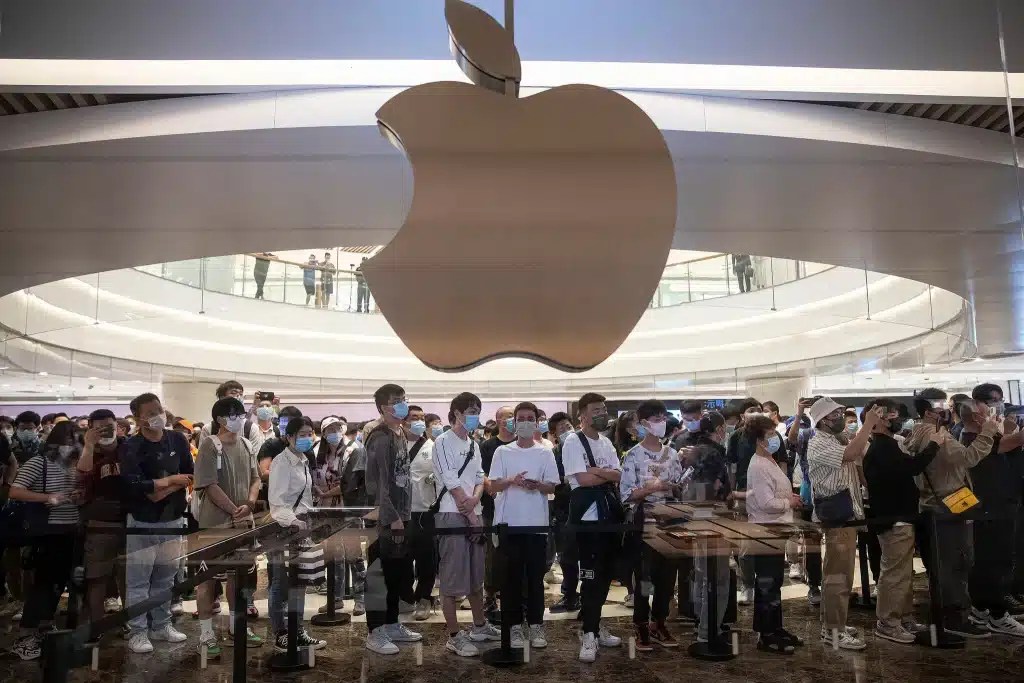 apple
